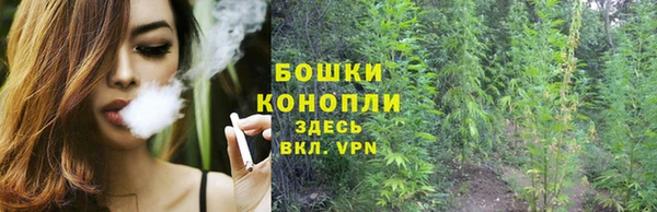 твердый Нея