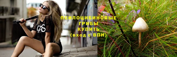 ешки Нефтекумск