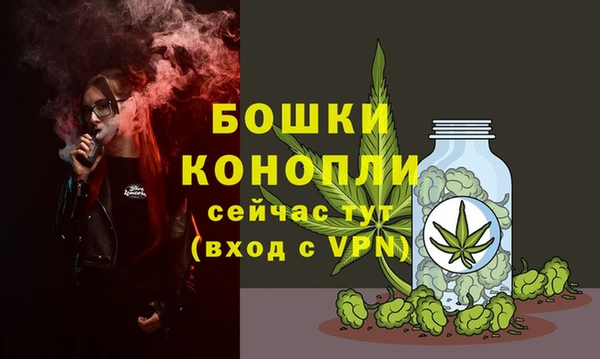 твердый Нея