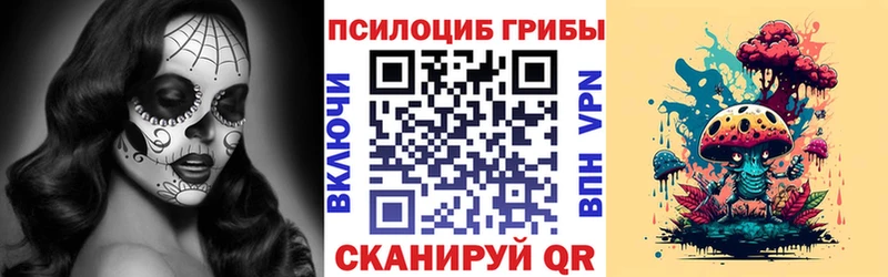 хочу   Урус-Мартан  Псилоцибиновые грибы Psilocybe 