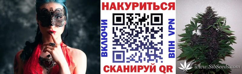 Шишки марихуана OG Kush  Урус-Мартан 